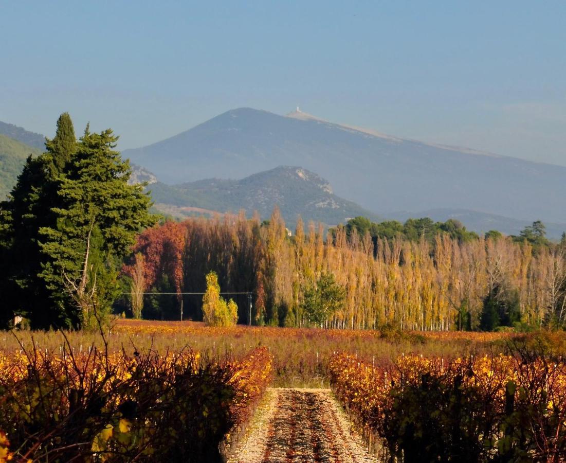 مبيت وإفطار مدينة ساريانس Desir De Provence المظهر الخارجي الصورة