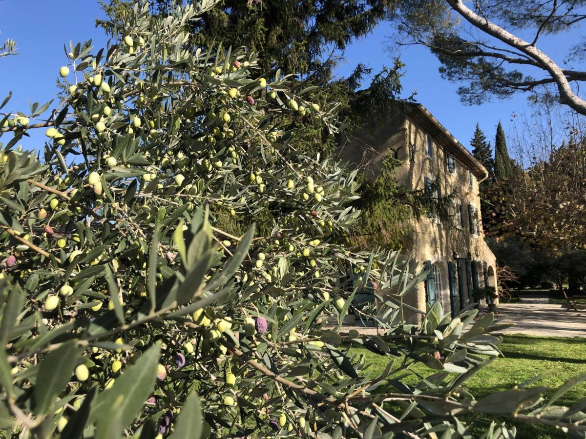 مبيت وإفطار مدينة ساريانس Desir De Provence المظهر الخارجي الصورة